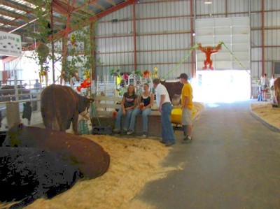 Cattle Barn Visit